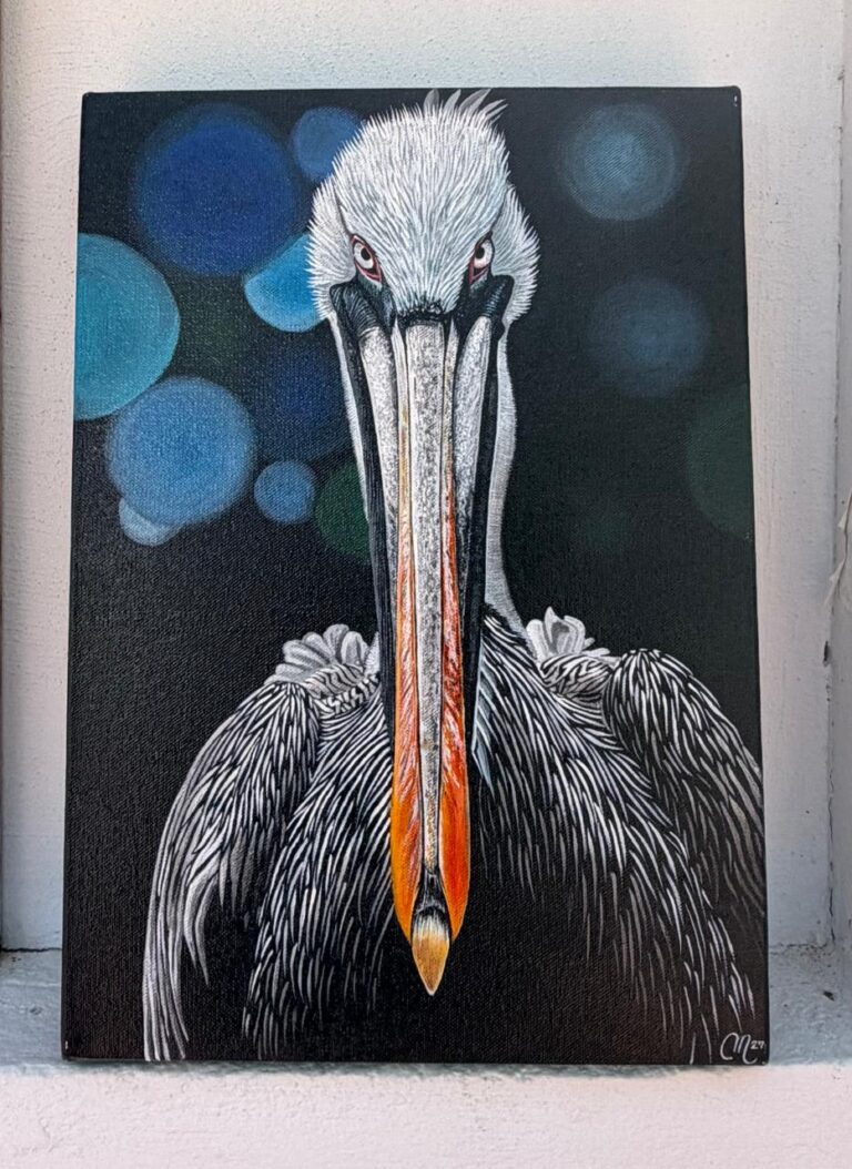  Pelicano by Mauricio Mesa, original art from Aruba