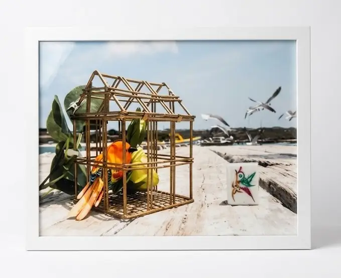 Through the Lens of  Mahjong – Gulf Birds